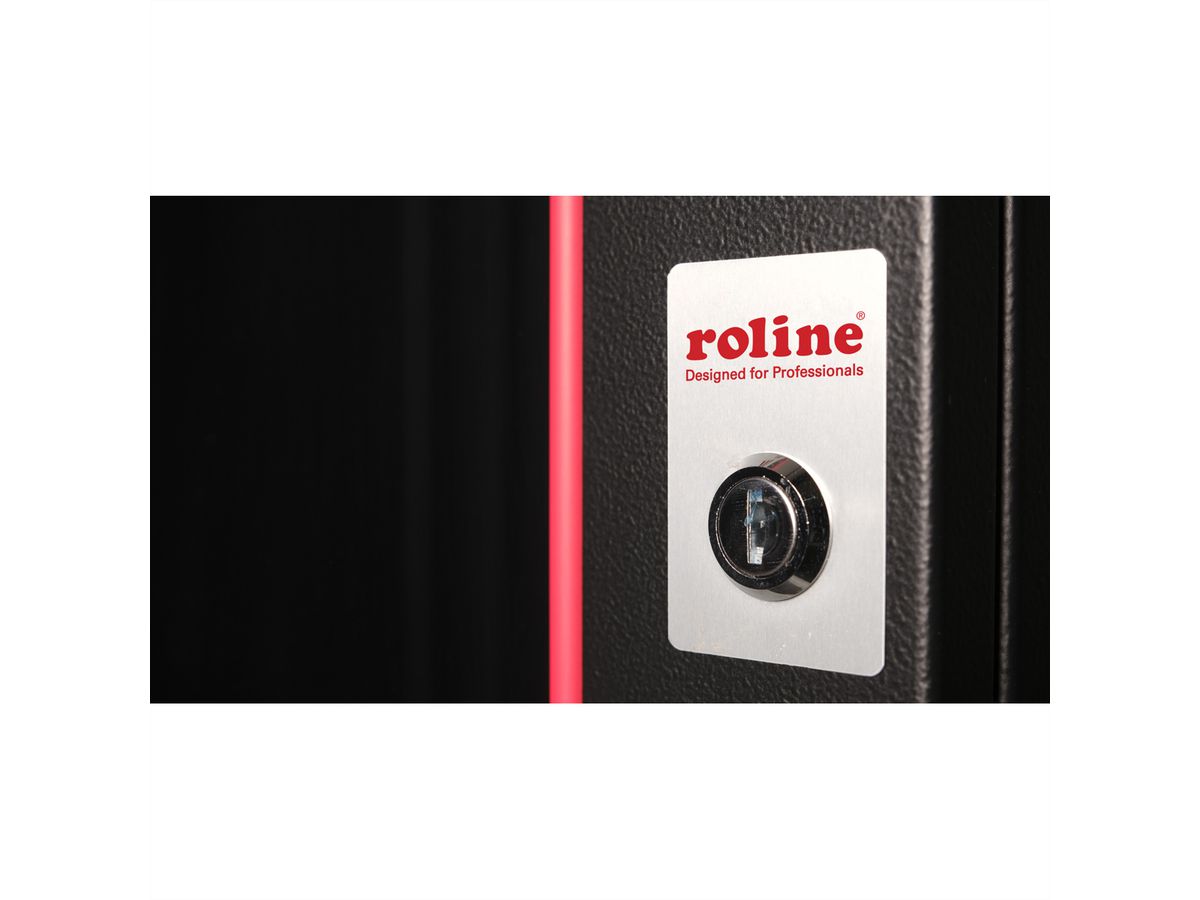 ROLINE 19-Zoll Wandgehäuse Pro  12 HE, 600x600 BxT schwarz